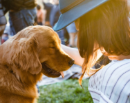 Woman with golden retriever