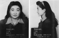 Iva D'Aquino mug shots